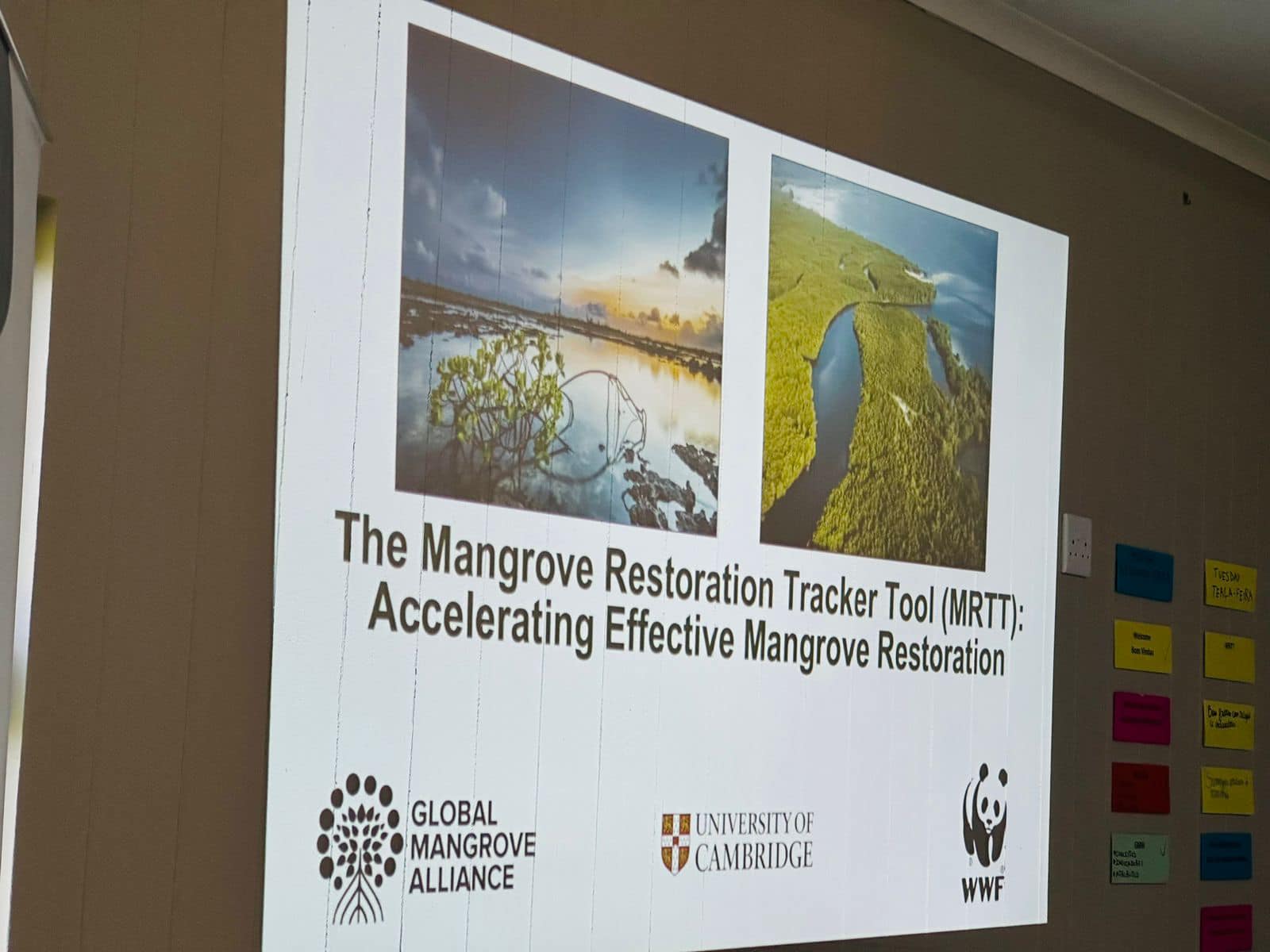 𝐓𝐫𝐞𝐢𝐧𝐚𝐦𝐞𝐧𝐭𝐨 𝐞𝐦 𝐢𝐧𝐬𝐭𝐫𝐮𝐦𝐞𝐧𝐭𝐨𝐬 𝐝𝐞 𝐦𝐨𝐧𝐢𝐭𝐨𝐫𝐢𝐚 𝐞 𝐠𝐞𝐬𝐭ã𝐨 𝐝𝐨 𝐦𝐚𝐧𝐠𝐚𝐥
